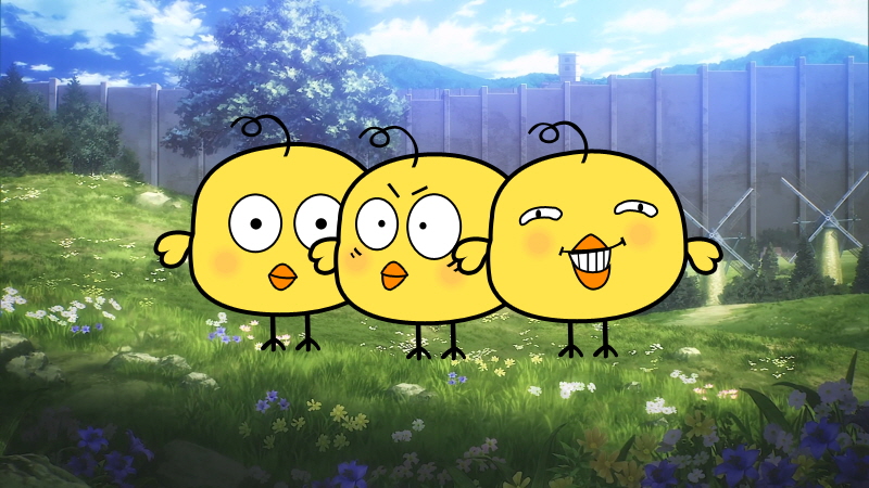 링크가 없는 팝업